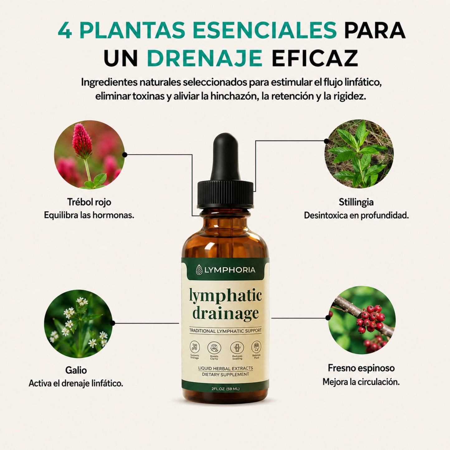 Lymphatique drainage